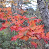  Acadia National Park, Maine